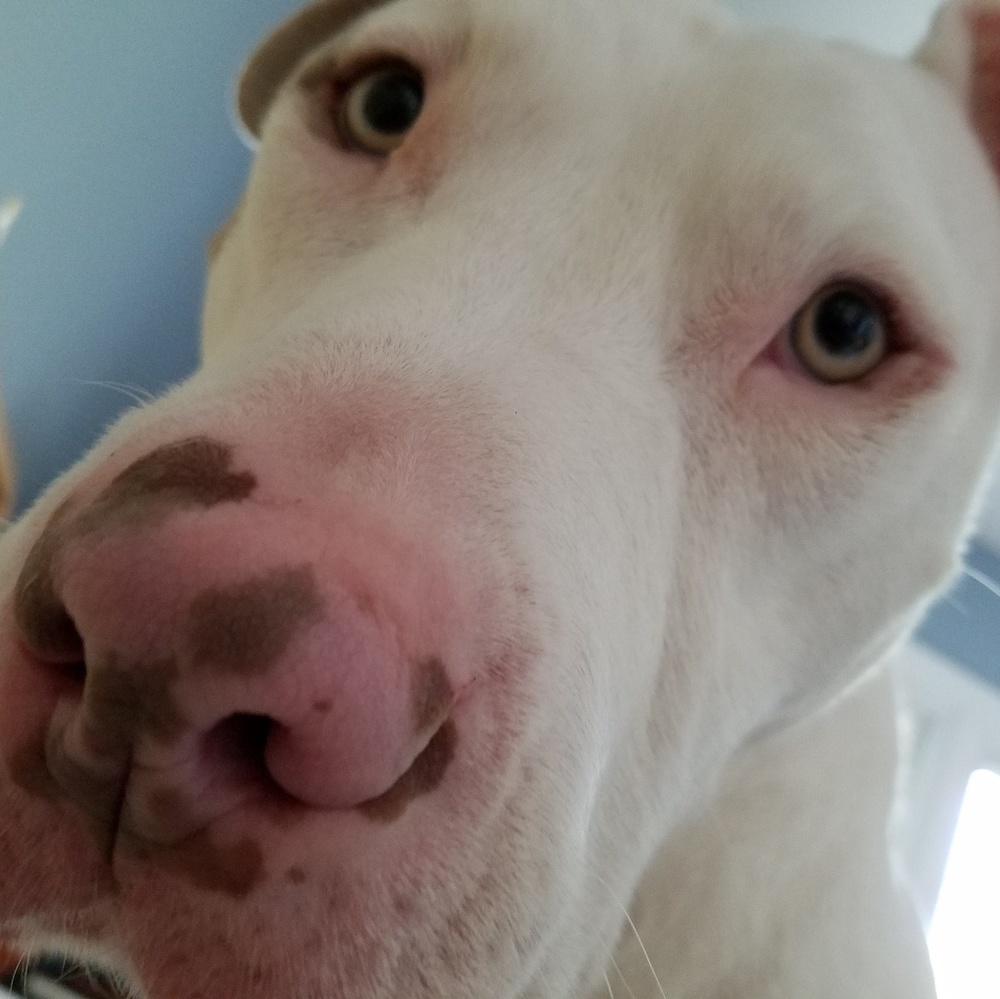 Meet your Posher, Mig